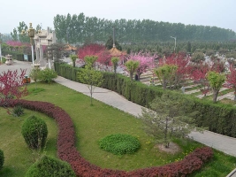 高静园公墓环境